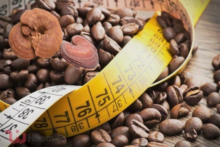 خواص قهوه گانودرما برای لاغری