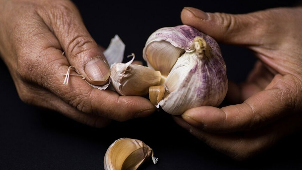 نحوه خوردن سیر خام 