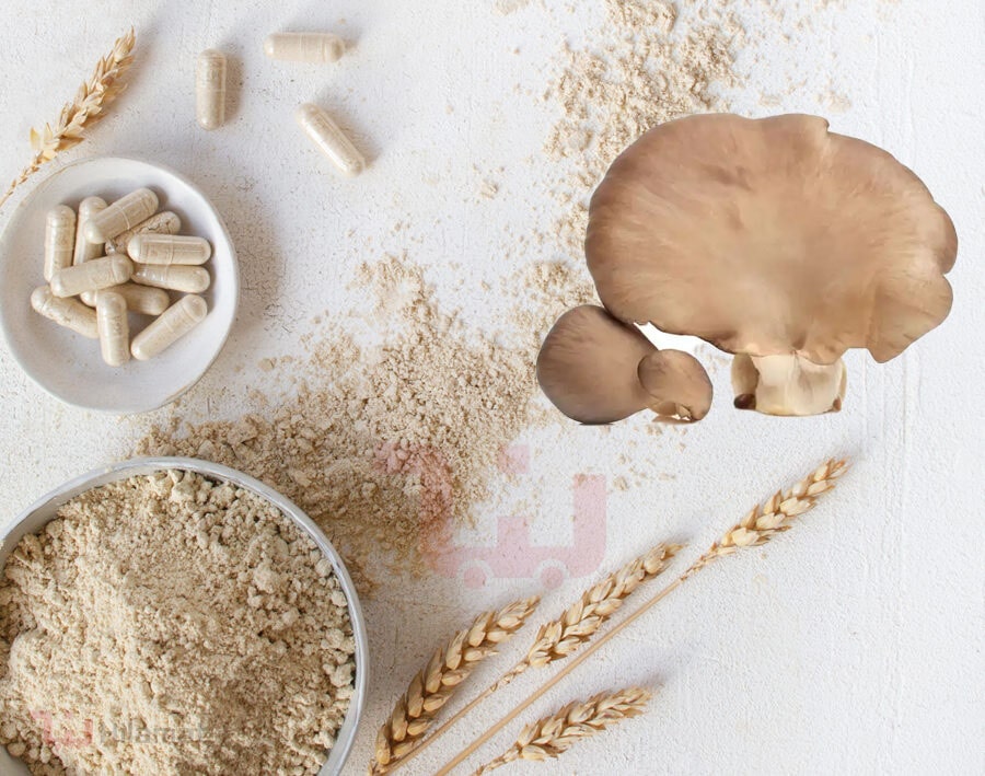 فواید قارچ صدفی و جوانه گندم چیست؟ برای لاغری مفیده؟ فواید قارچ صدفی و جوانه گندم چیست؟ برای لاغری مفیده؟