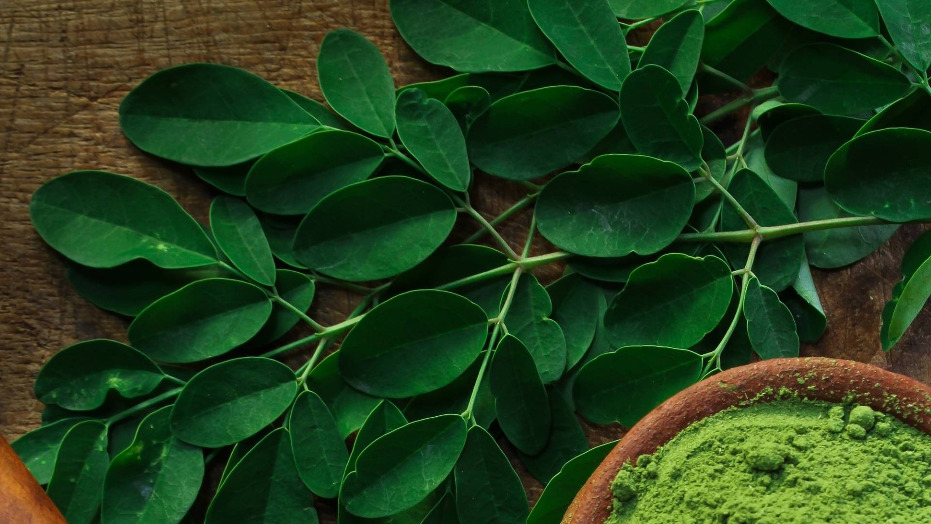 عصاره برگ مورینگا